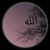 arfanahmed7887