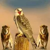 user344h8ydjcq