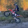 nilsson__295