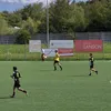 pedro.patata7