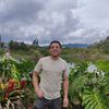 coyotonerrante