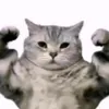 broskanski