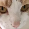 user3yfcrjlipt