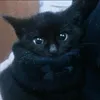 nazira_khasraw00