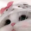 pxnciee