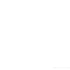 camil_ox4