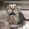 danielmemmes