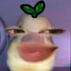 bloo_ber