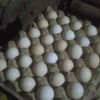 dutakarya.logam