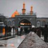 mujeeb_khan_kotadu_513