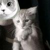 chiko_iimut