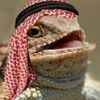 abdulkodir_41