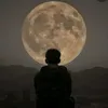 swertefullmoon