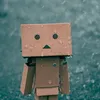 user5f1c1d6y2o