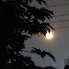 shadow40011