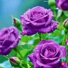 user3wfn2mv056
