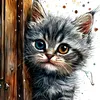 user5251101752746