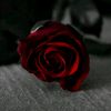 bdking_4