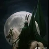 dana_ali22