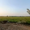 s.h6691