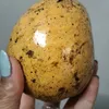 Ý NHI