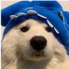 itshimabish