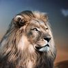 asdlion14