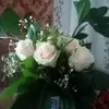 user9699313726510