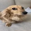 naoseioqueescrever