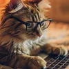 catdanceyes