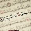 sayedsulaiman923