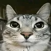 maksim_krutoi666