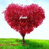 user50ykhi6l70