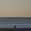 useeer_y6