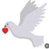 user631980542