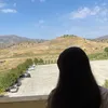 d1v101