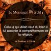 binette1161
