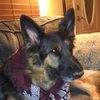 renae_coloradosno