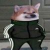misterzloypes