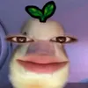 het_thuoc_chua3