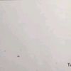 _ariana203