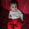 sahibjansahib476