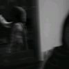 flxwz_froot