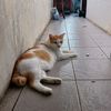 leony_4m