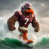 hokieman47