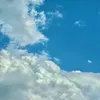 y_25255