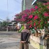 nyslla_24