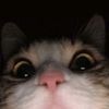 someonepeople_4