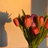 iemChuu rì viu🌷