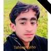 tahseen.khan695